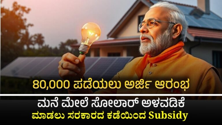 Solar Subsidy 