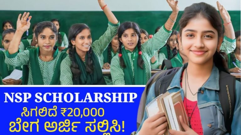 NSP Scholarship 2025